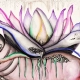 Lotus Loves Me by Annabel V Sclippa