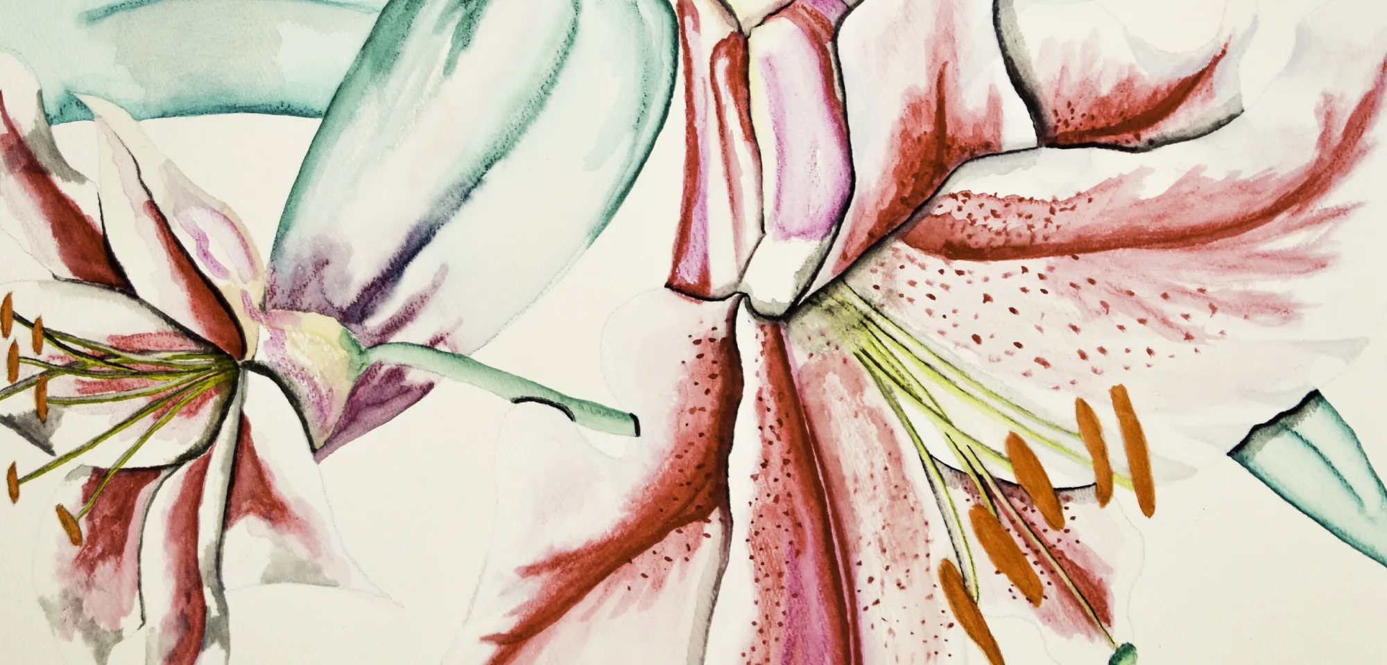 Seven Lillies of the Chakra by: Annabel V Sclippa Seven Lillies of the Chakra by: Annabel V Sclippa